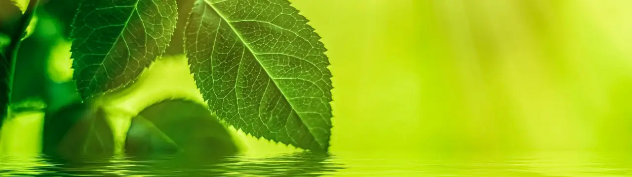 futuro ambiente energie rinnovabili
